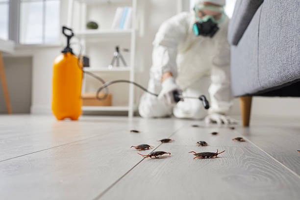 Trusted Rodent Control service in Arcola, VA - Nex Pest Control