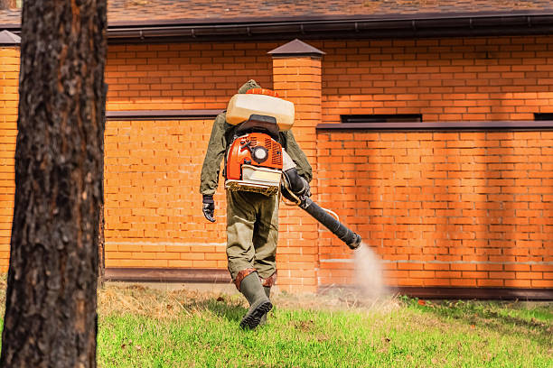 Trusted Emergency Pest Control service in Arcola, VA - Nex Pest Control